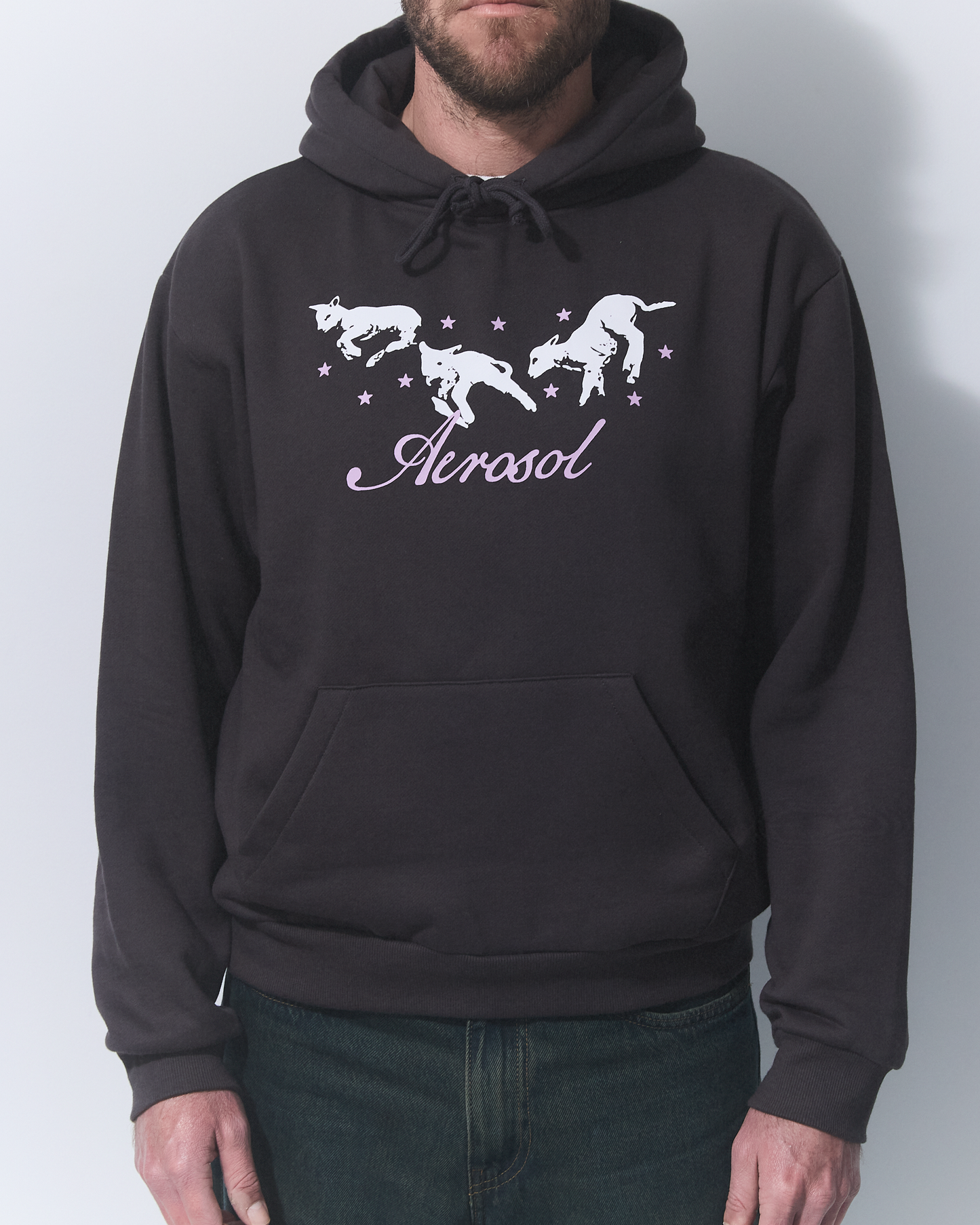 FROLIC HOODIE GREY